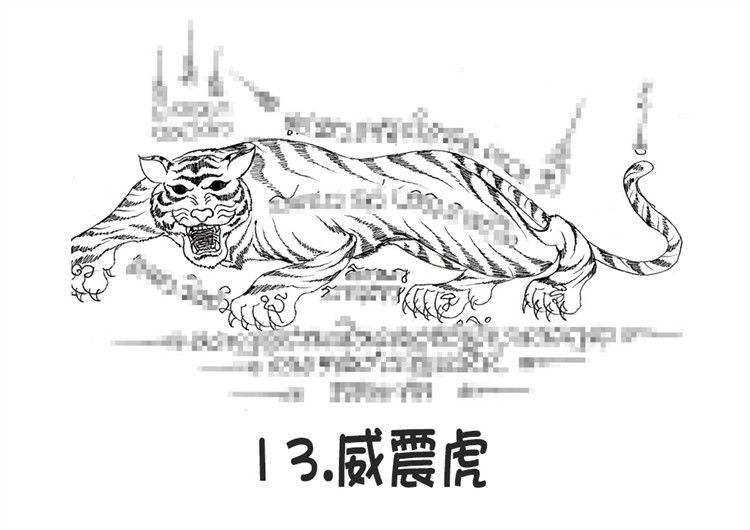阿赞朕甩 无头虎 威震虎 泰国银针刺符 古法纹身  2025年10月1中国法会预约  阿赞通蜀无头虎传人