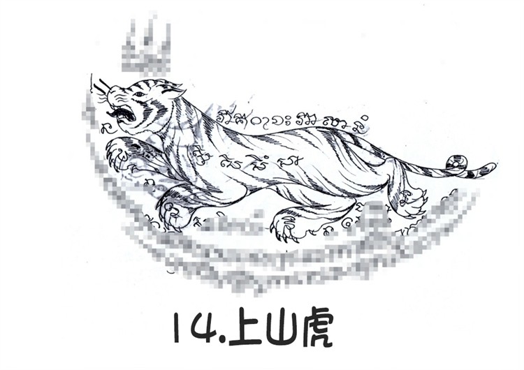 上山虎 回头虎 阿赞朕甩 2025年10月1日 中国 法会预约  泰国古法刺符 泰国一对一法事预约  阿赞通蜀无头虎传人